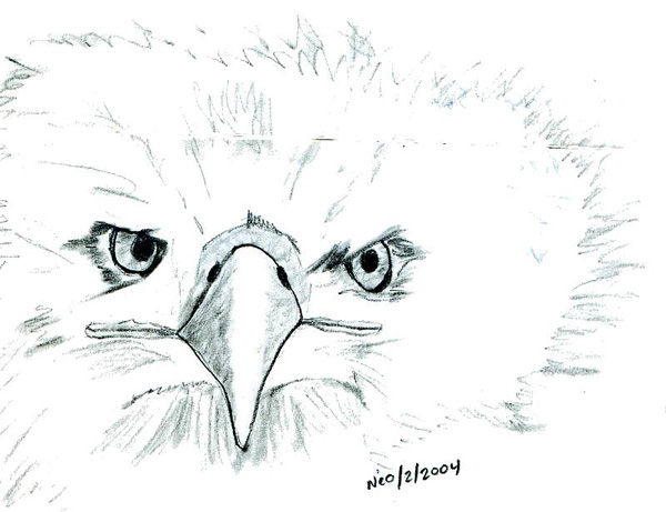 Eagle_Face