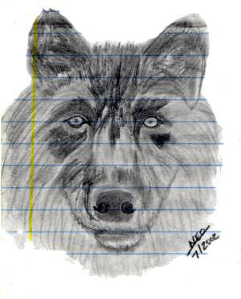 Wolf_3