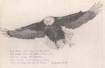 Eagle_Isaiah_40_31